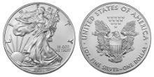 2021 American .999 Fine Silver Eagle Dollar Coin