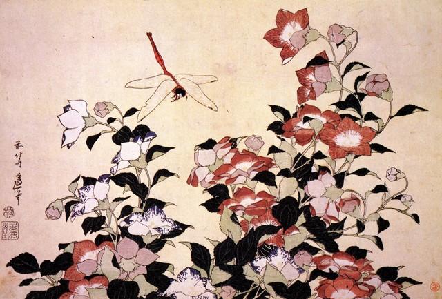 Hokusai - Chinese Bell Flower and Dragon-Fly