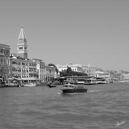 Venice 1 by Aronov, Misha