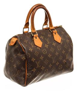 Louis Vuitton Speedy 25 cm Handbag