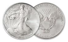 2010 American Silver Eagle .999 Fine Silver Dollar Coin