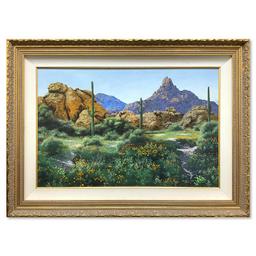 Arizona Landscape by Denys Original