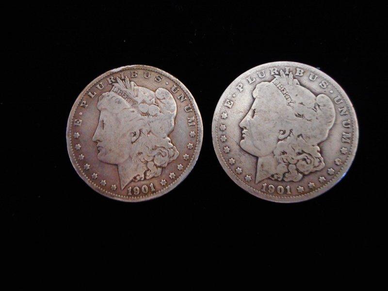 Morgan Silver Dollars - 2