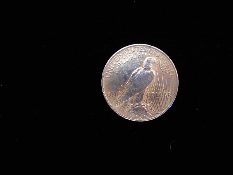 Peace Silver Dollar