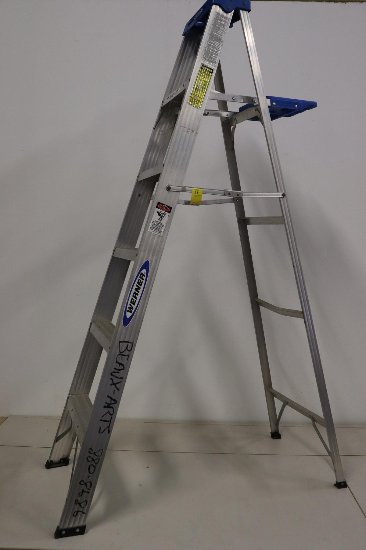 Werner 6' Ladder