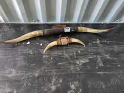 (2) Sets Of Long Horns