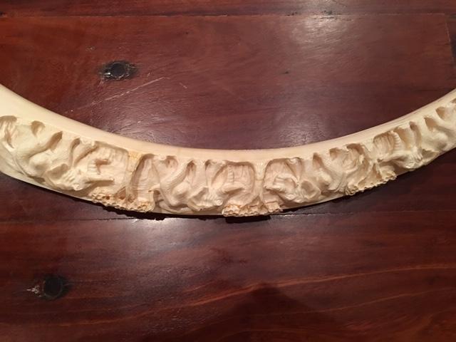 42"CARVED IVORY TUSK W/ELEPHANT CARVED IN IT -42"LONGx6.5" -SIGNED D.KARIMA (TX RES ONLY)