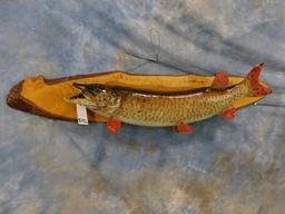 LG NORTHERN PIKE ON WOOD