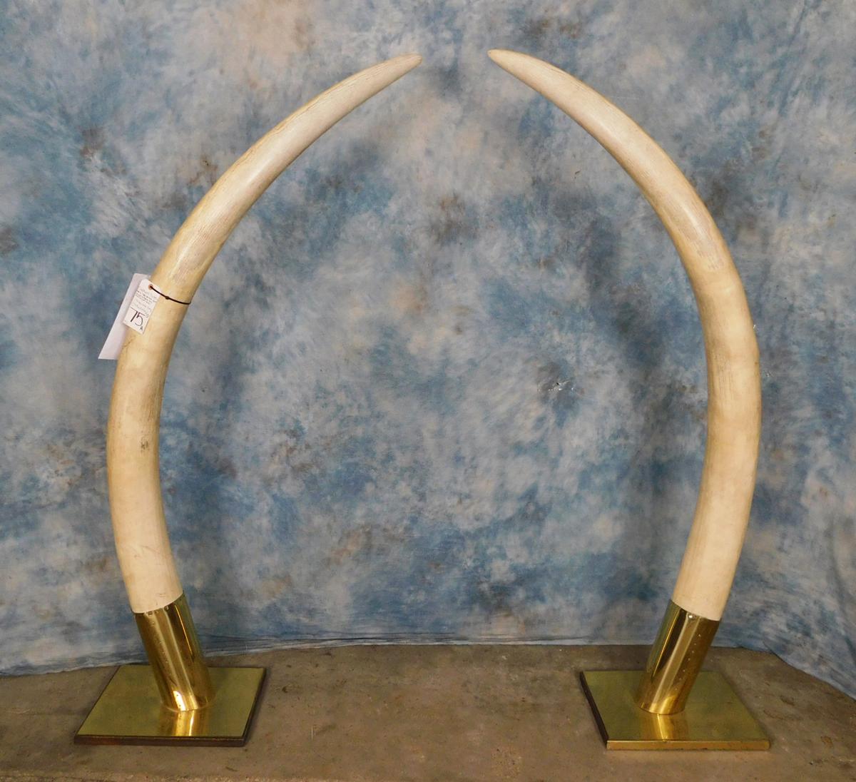 PAIR OF ELEPHANT TUSK  (TX RESIDENTS ONLY)