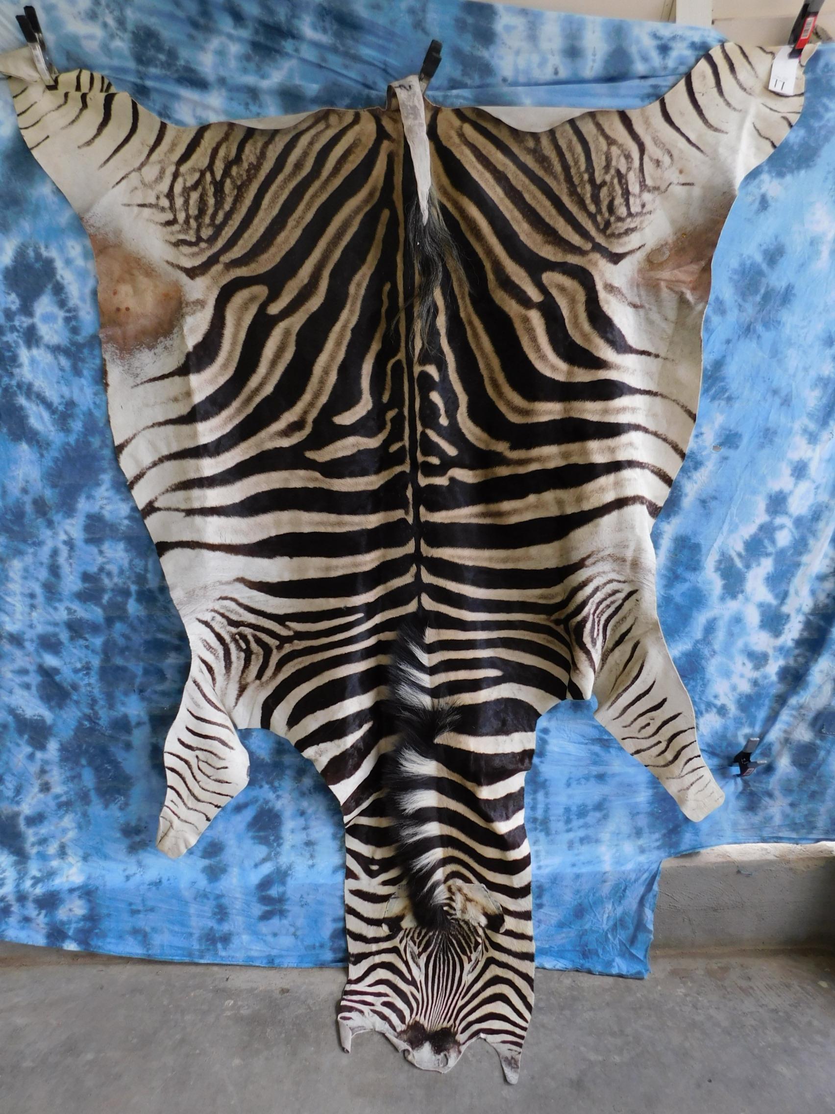 ZEBRA HIDE