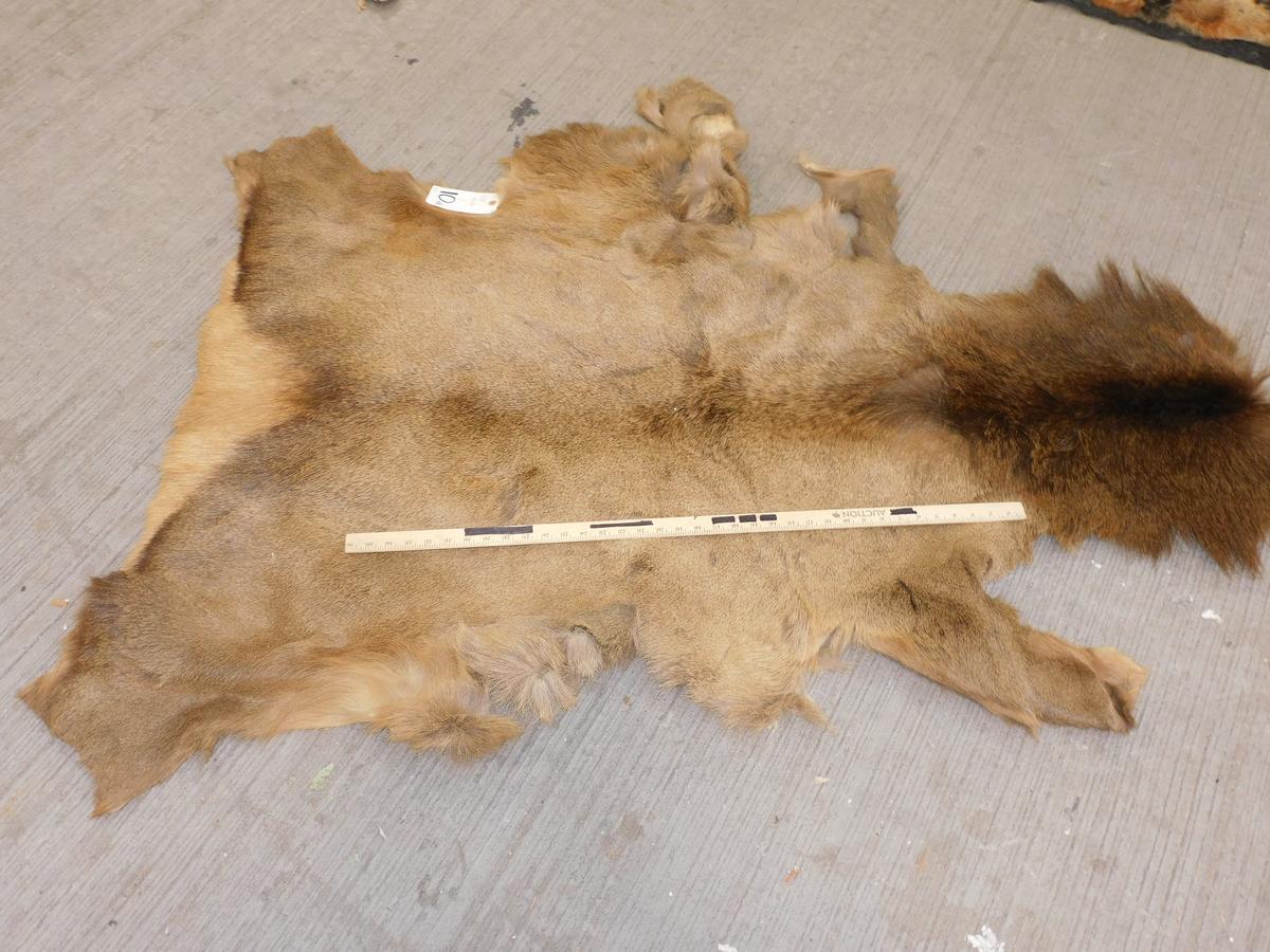 ELK HIDE