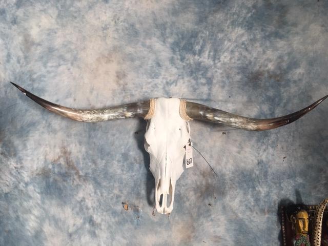 LONGHORN SKULL