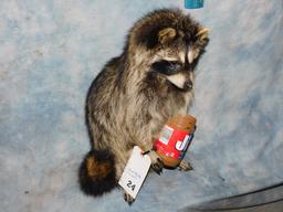 Peanut Butter Raccoon