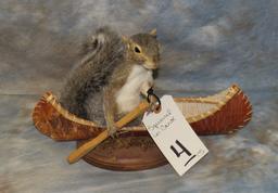 SQUIRREL IN A CANOE TAXIDERMY