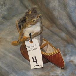 SQUIRREL IN A CANOE TAXIDERMY