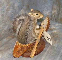 SQUIRREL IN A CANOE TAXIDERMY