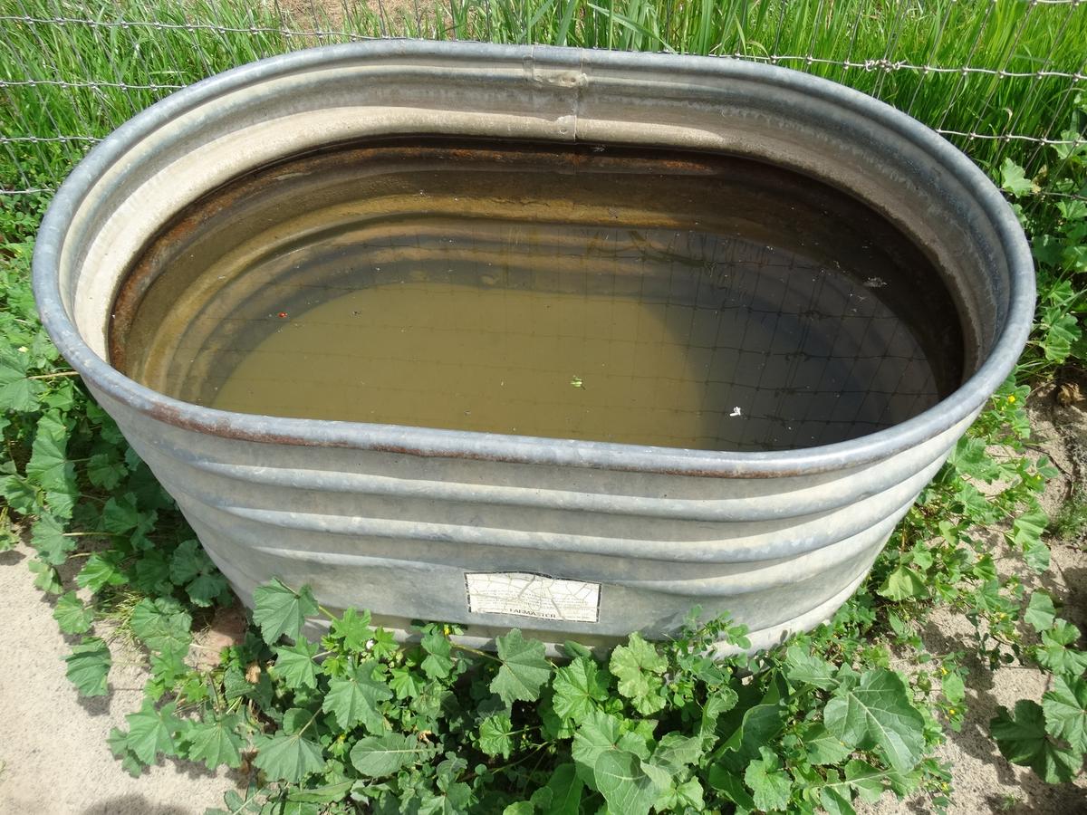 Galvanized Water Container