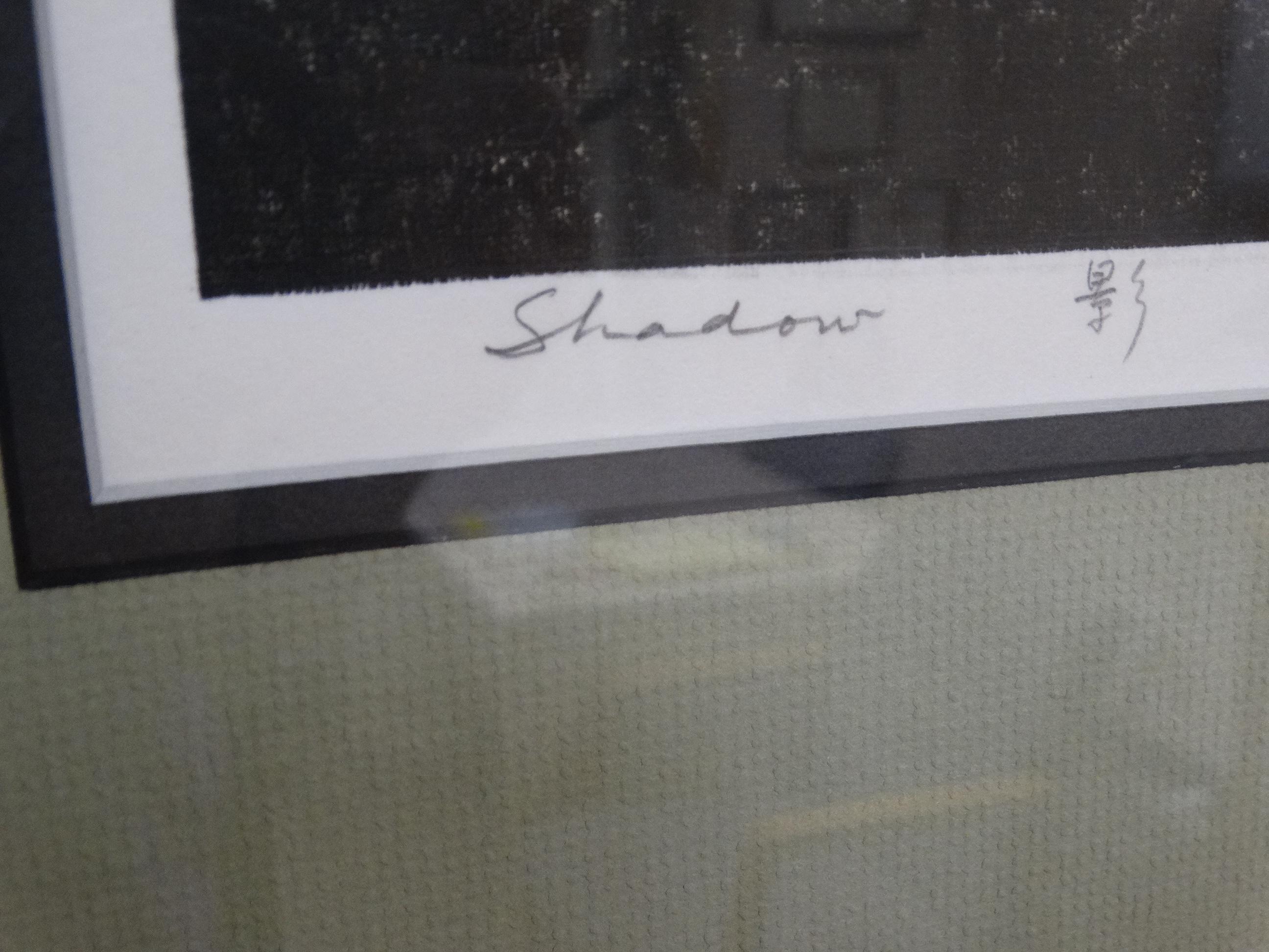 Framed Print "SHADOW"