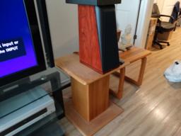 Pair of THIEL Speakers