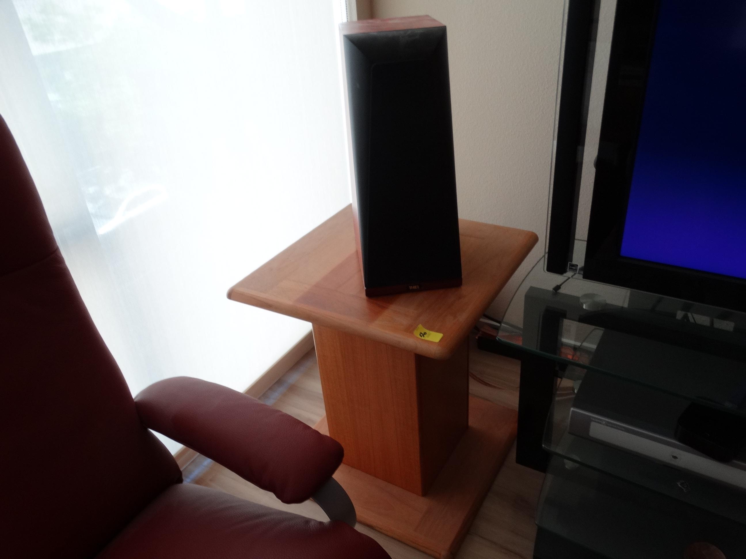 Pair of THIEL Speakers