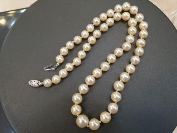 Pearl Necklace