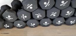 BODYSPORT 3 lb weights