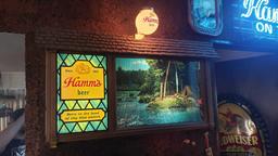 HAMMS BEER SCROLLING WATERFALL CAMPSITE