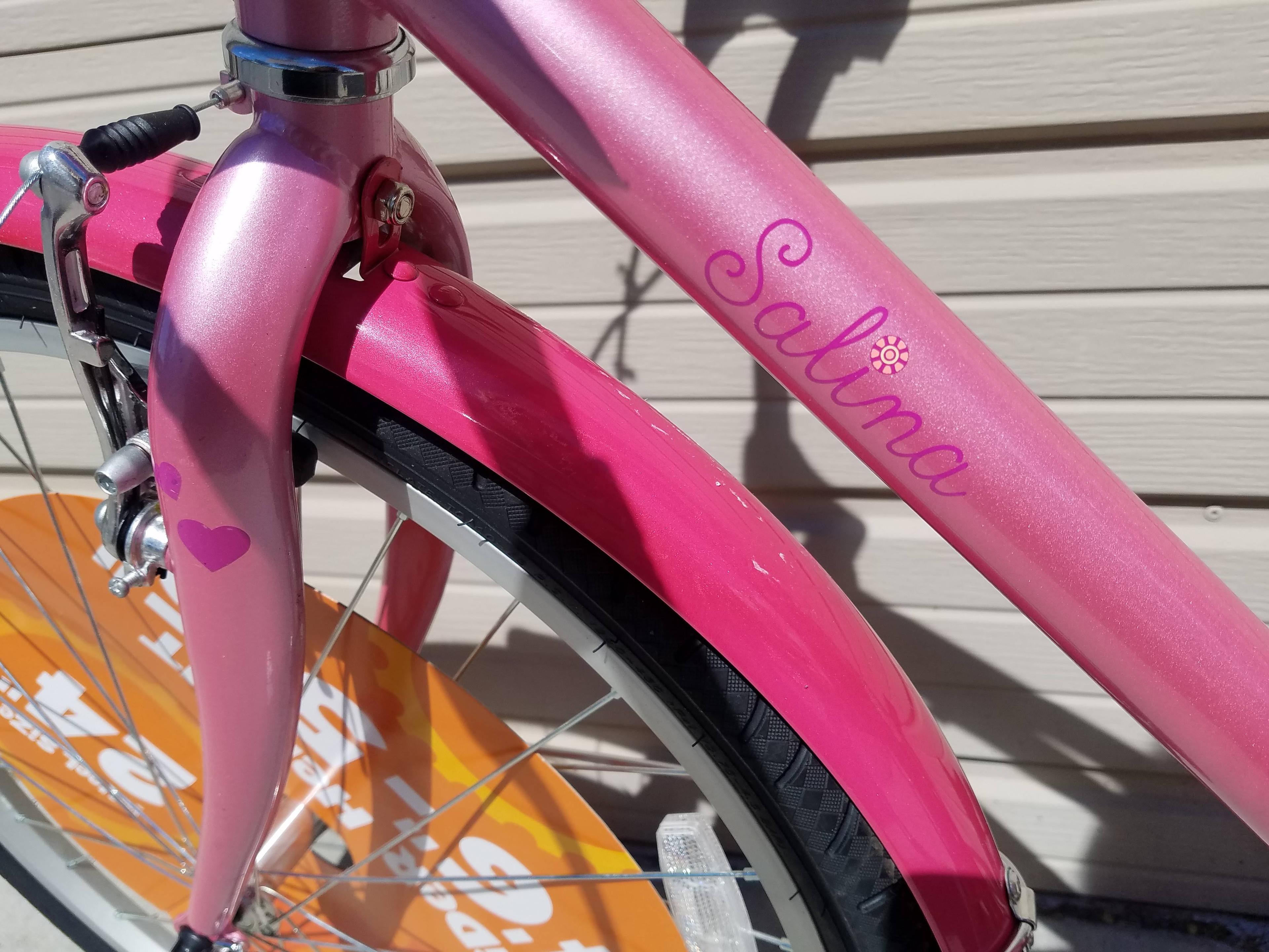 Schwinn Salina Pink Bike 24" Wheels for Riders 4'6"-5'5" - New