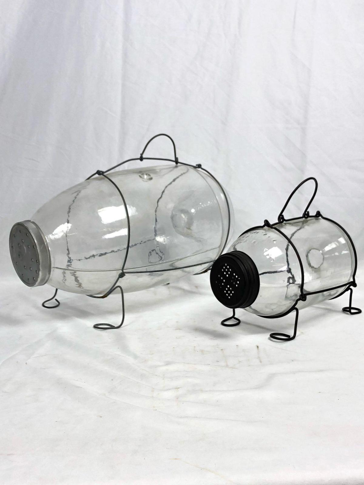 Glass Insect Containers