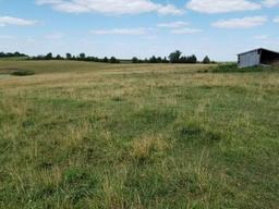 FARM LAND FOR SALE ADAMS COUNTY IOWA (APPROX. 158.5 ACRES)