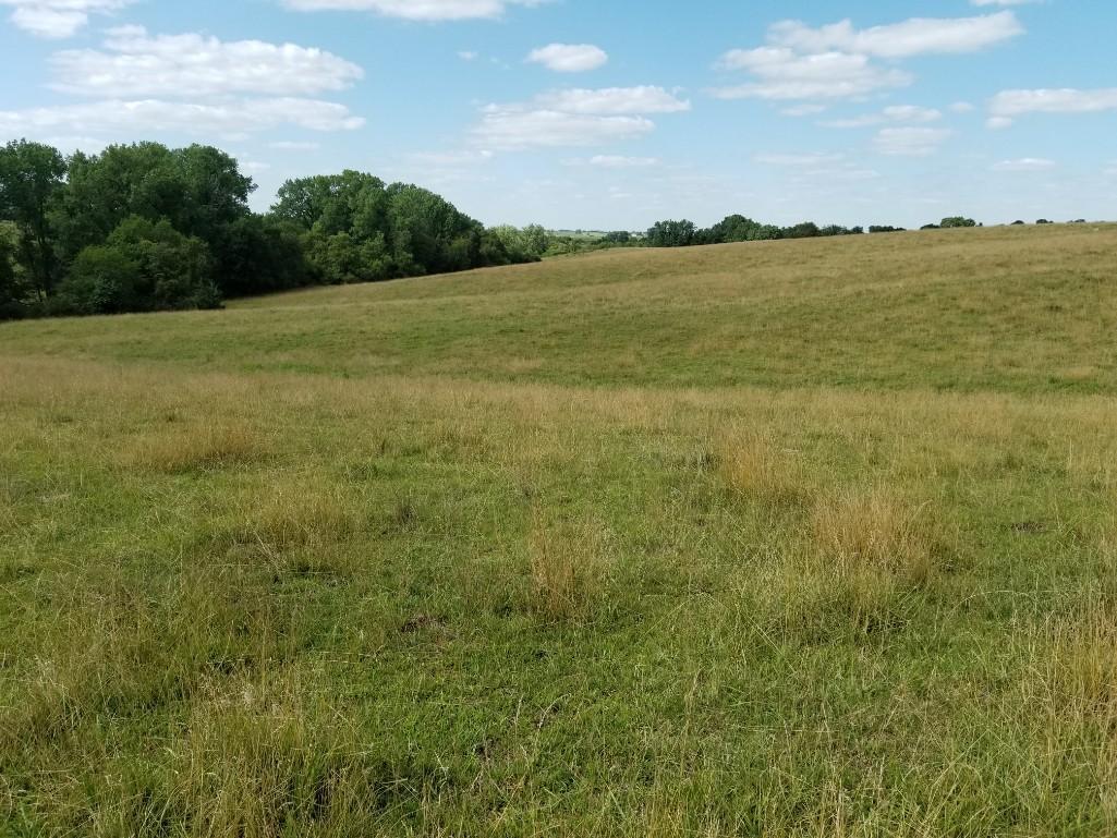 FARM LAND FOR SALE ADAMS COUNTY IOWA (APPROX. 158.5 ACRES)