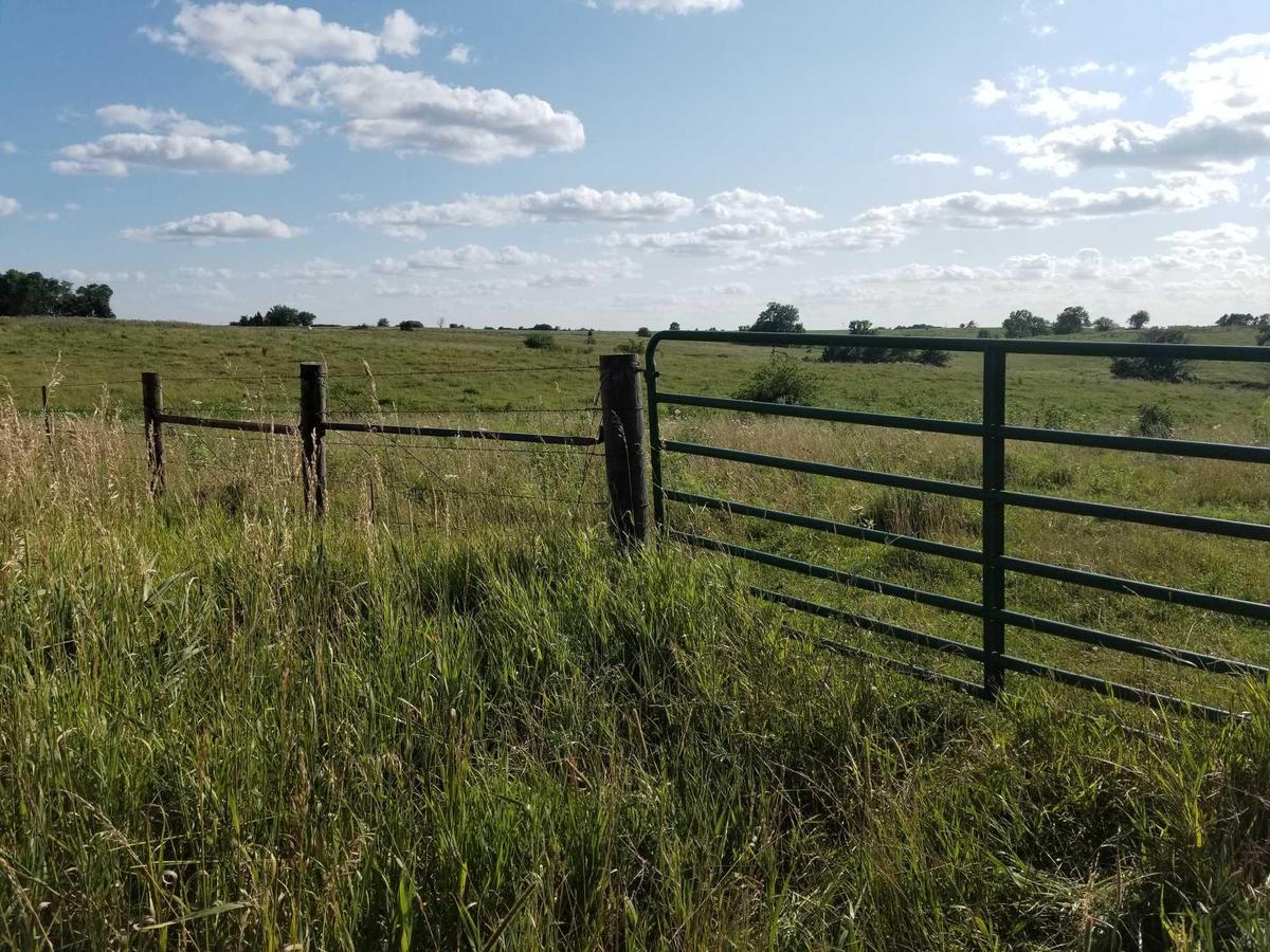 79 ACRES MOL CRP/PASTURE