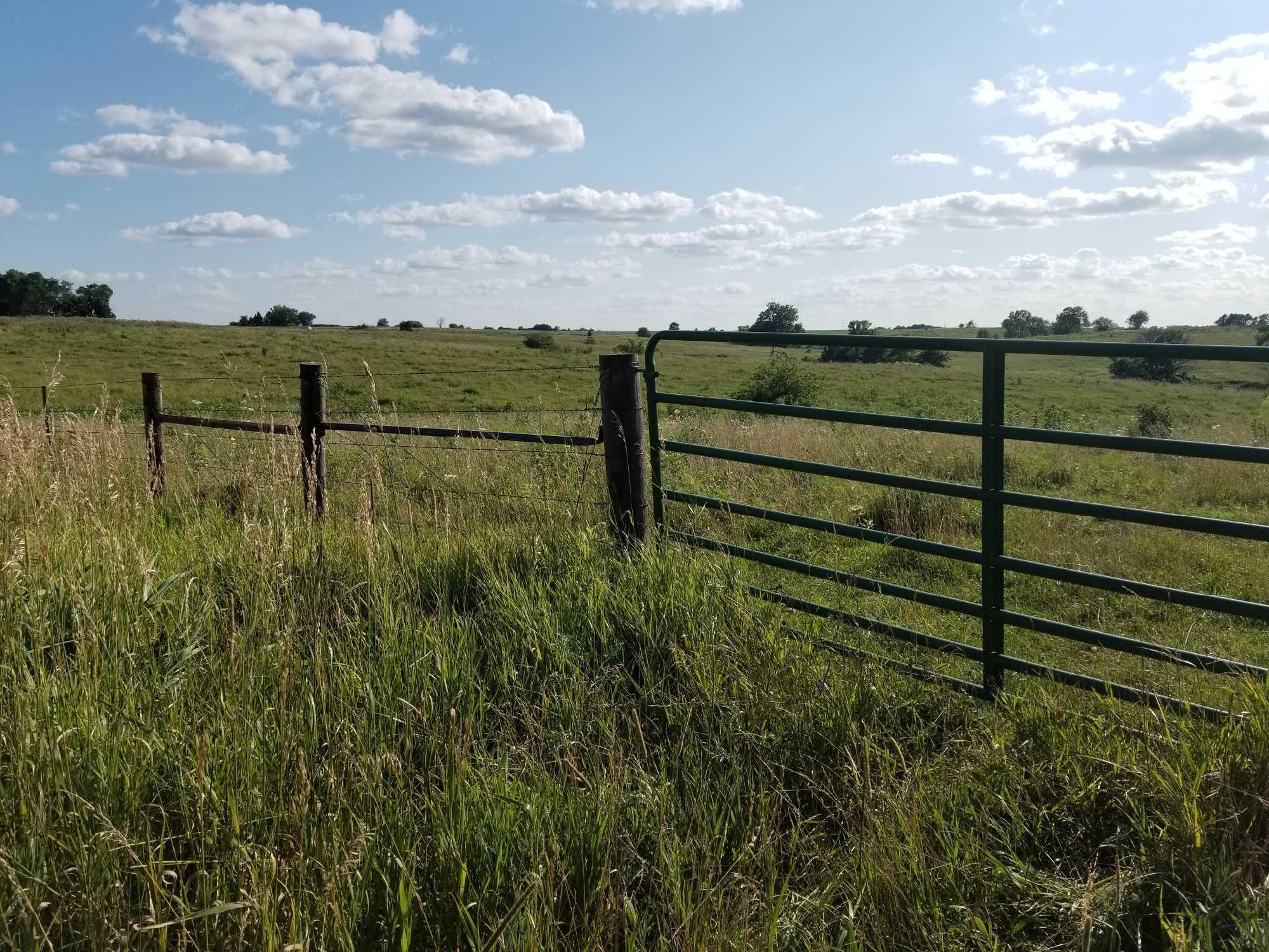 79 ACRES MOL CRP/PASTURE