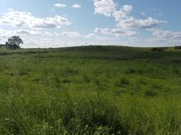 79 ACRES MOL CRP/PASTURE