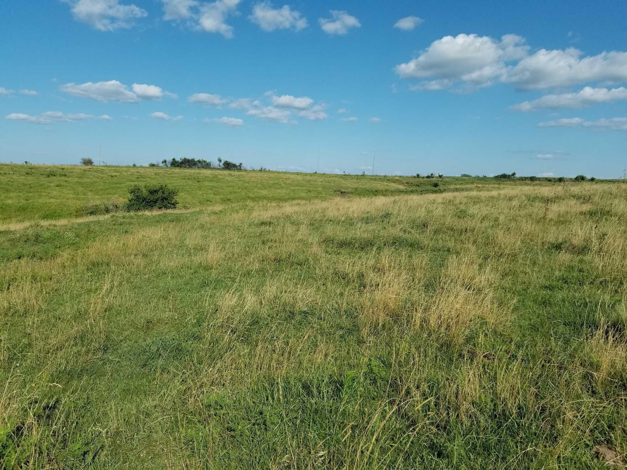 79 ACRES MOL CRP/PASTURE