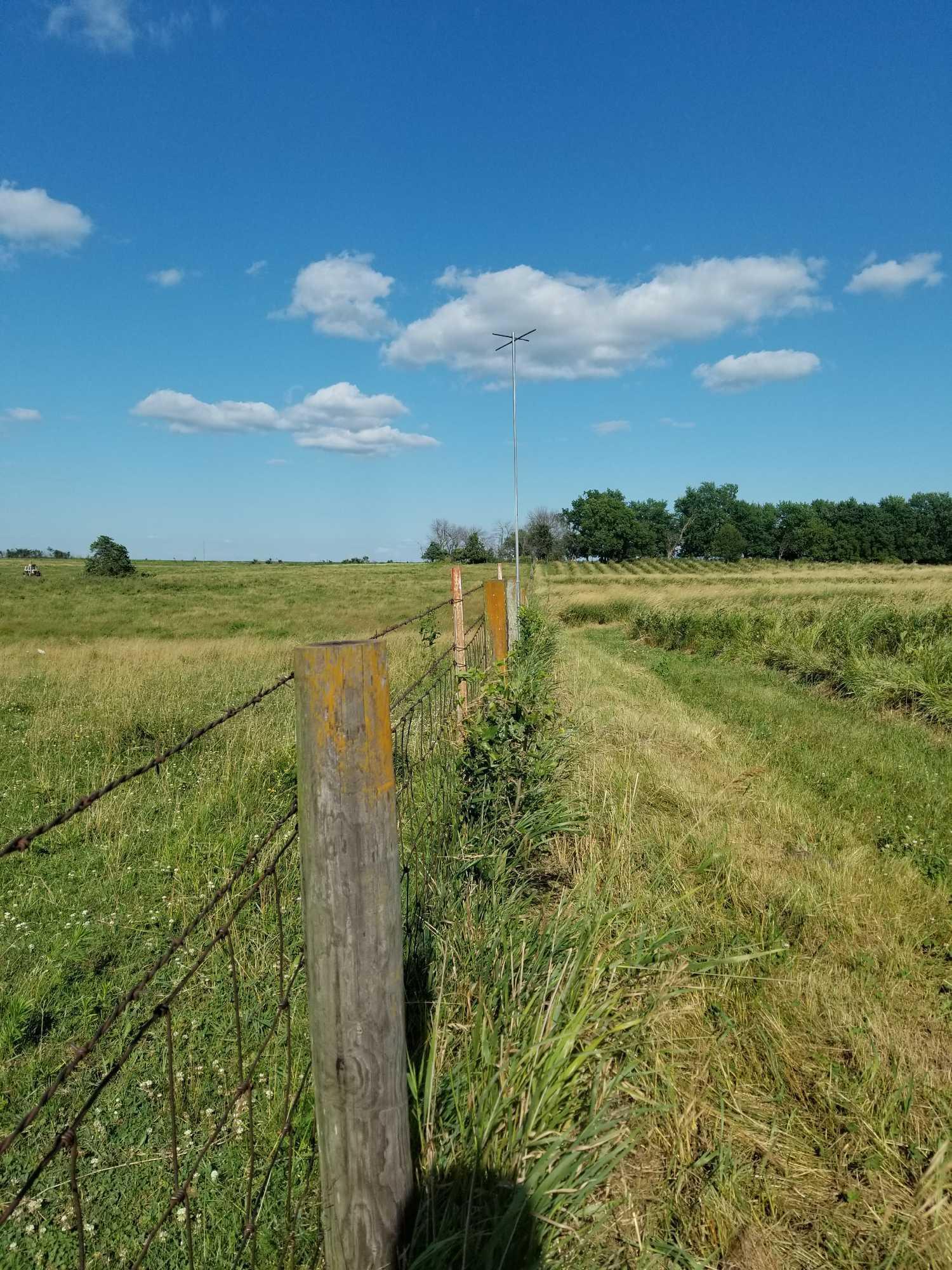 79 ACRES MOL CRP/PASTURE