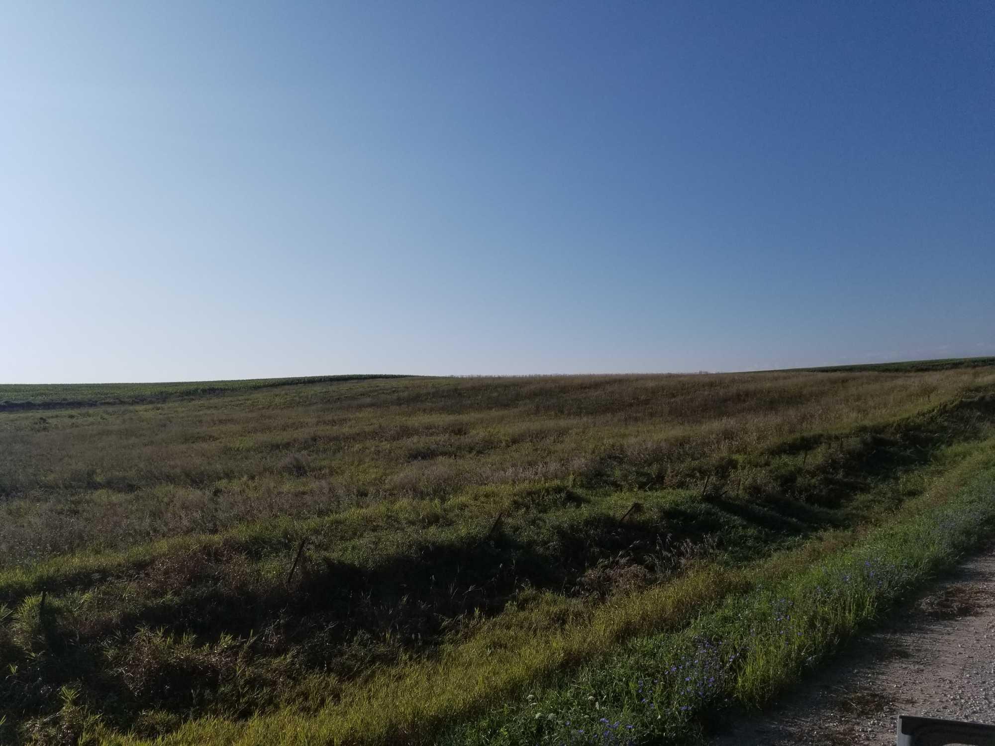 SOUTHWEST IOWA FARM LAND 158 ACRES MOL