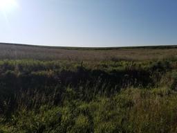 SOUTHWEST IOWA FARM LAND 158 ACRES MOL