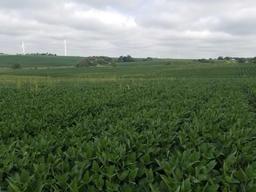 FSA Farm #1743 Tract #1097 County FSA Of? ce: Adams County FSA, 641-322-4240 Sec/Twp/Rng: 21-71-33