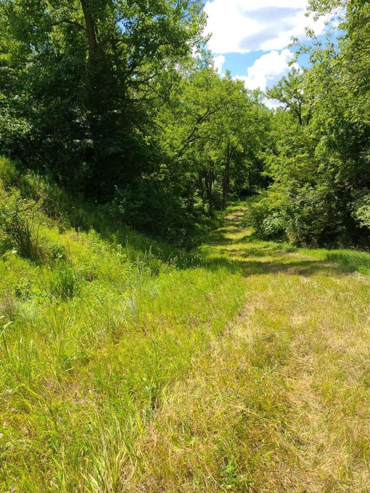 69.13 TAXABLE TIMBERED ACRES WITH NICE RANCH HOME AND LARGE SHOP AFTON, IOWA