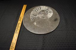 Nautilus Ammonites Fossil in Marble