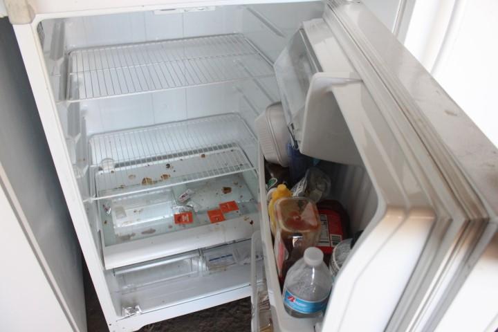 GE Household Refrigerator