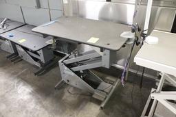 Groomers Best Electric Hydraulic Table
