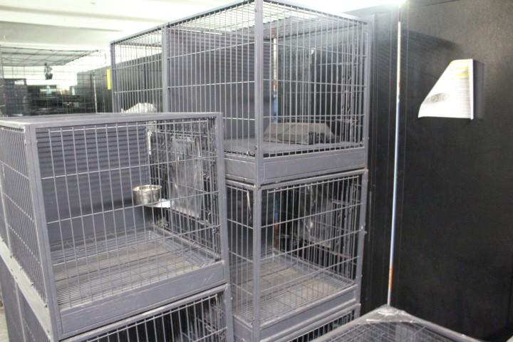 4ft Kennels