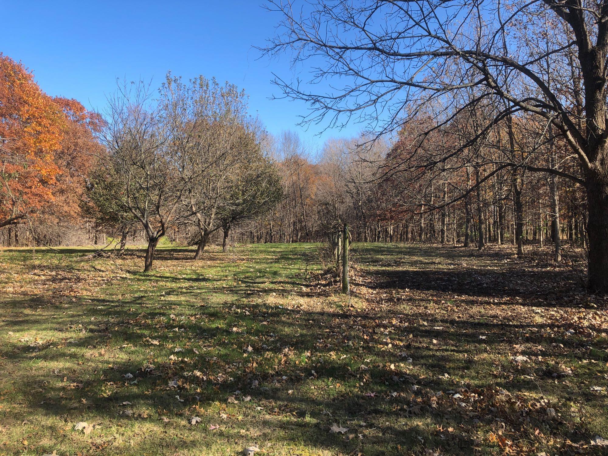 SCHUYLER COUNTY IL. HOME AND LAND AUCTION - DRINKWATER ESTATE