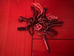 OLD SKELETON KEYS