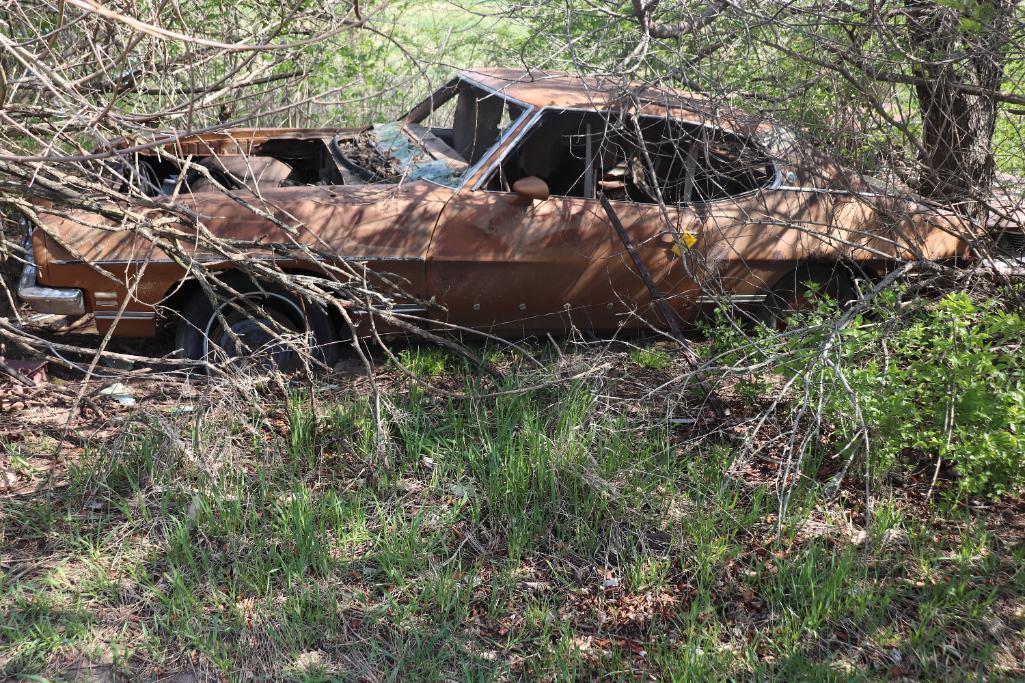 1972 Pontiac Luxury Lemans