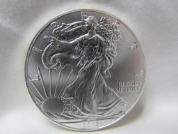 2013 SILVER EAGLE 1 OZ. FINE SILVER