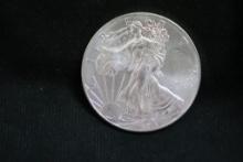 2013 Silver Eagle 1 oz. Silver Coin