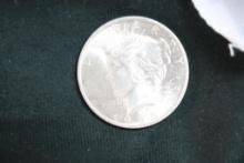 1925 Peace Silver Dollar